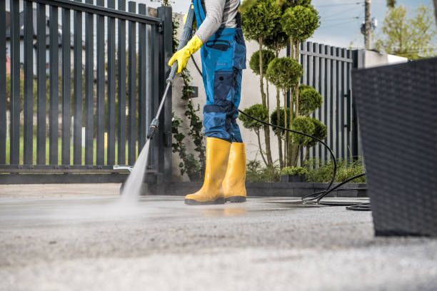 Best Patio and Deck Pressure Washing  in , AZ
